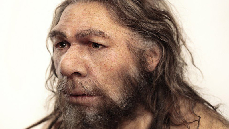 Neanderthals