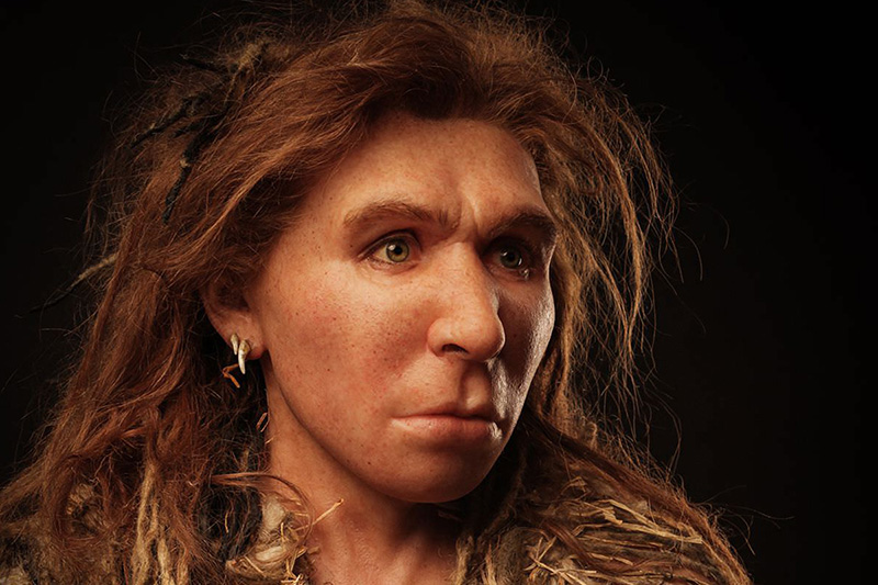 Neanderthals woman