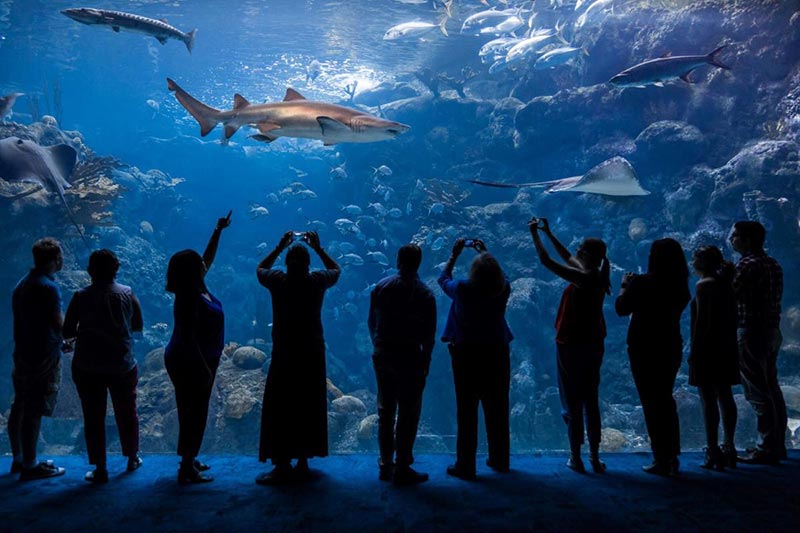 The Florida Aquarium